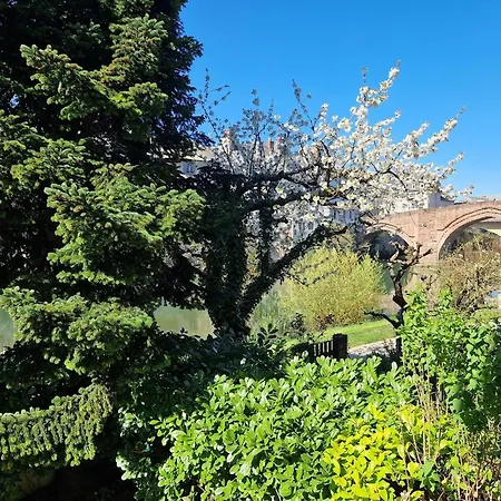 Au Ptit Bonheur Du Lot, Centre-ville, Calme, Vue, Jardin