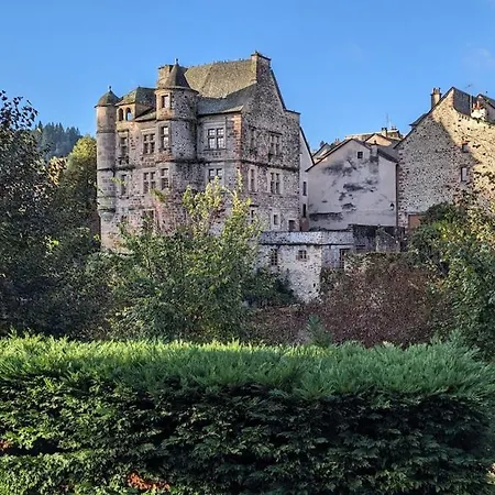 Au Ptit Bonheur Du Lot, Centre-ville, Calme, Vue, Jardin Appartamento Espalion